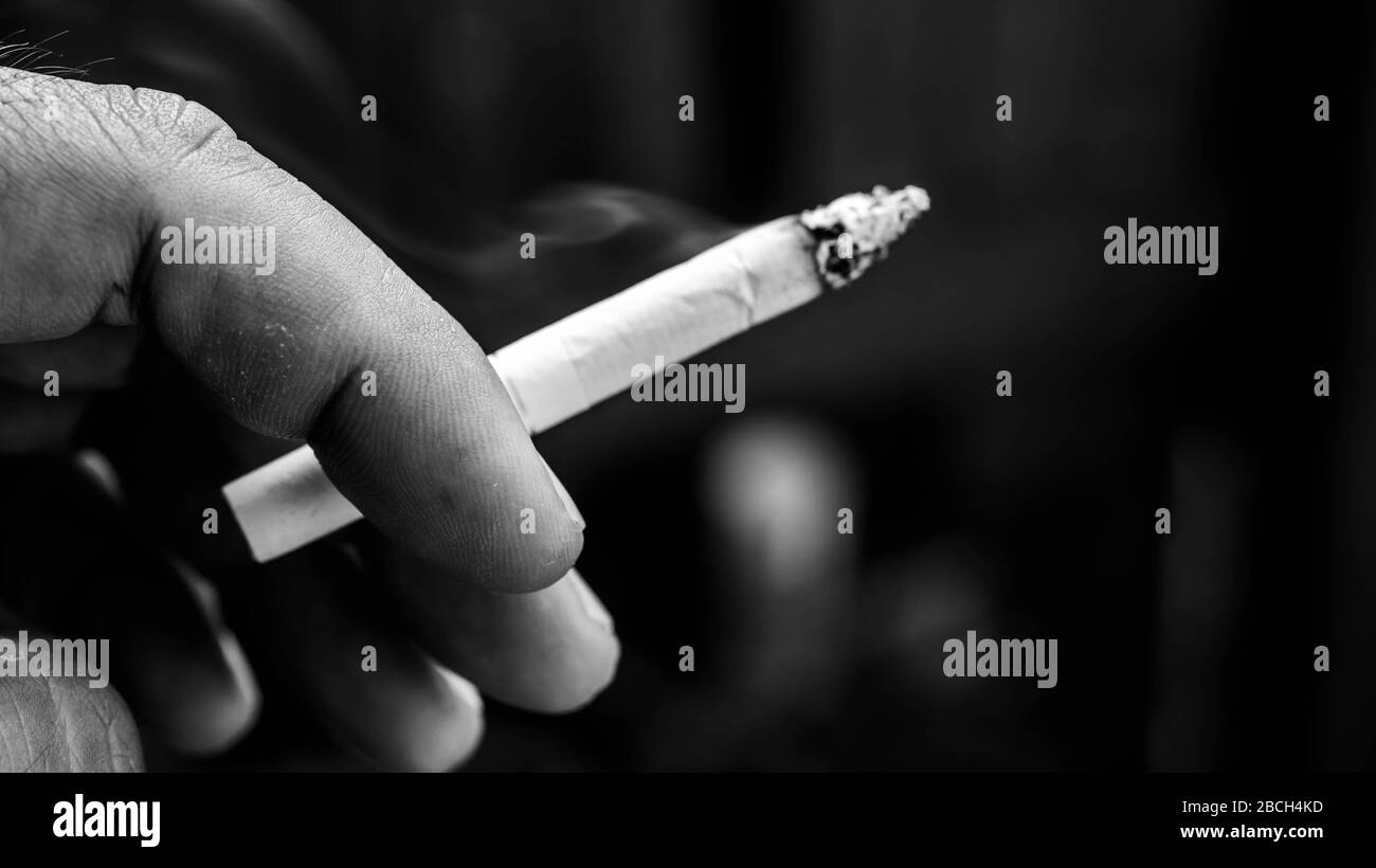 primo piano delle dita che tengono una sigaretta Foto Stock