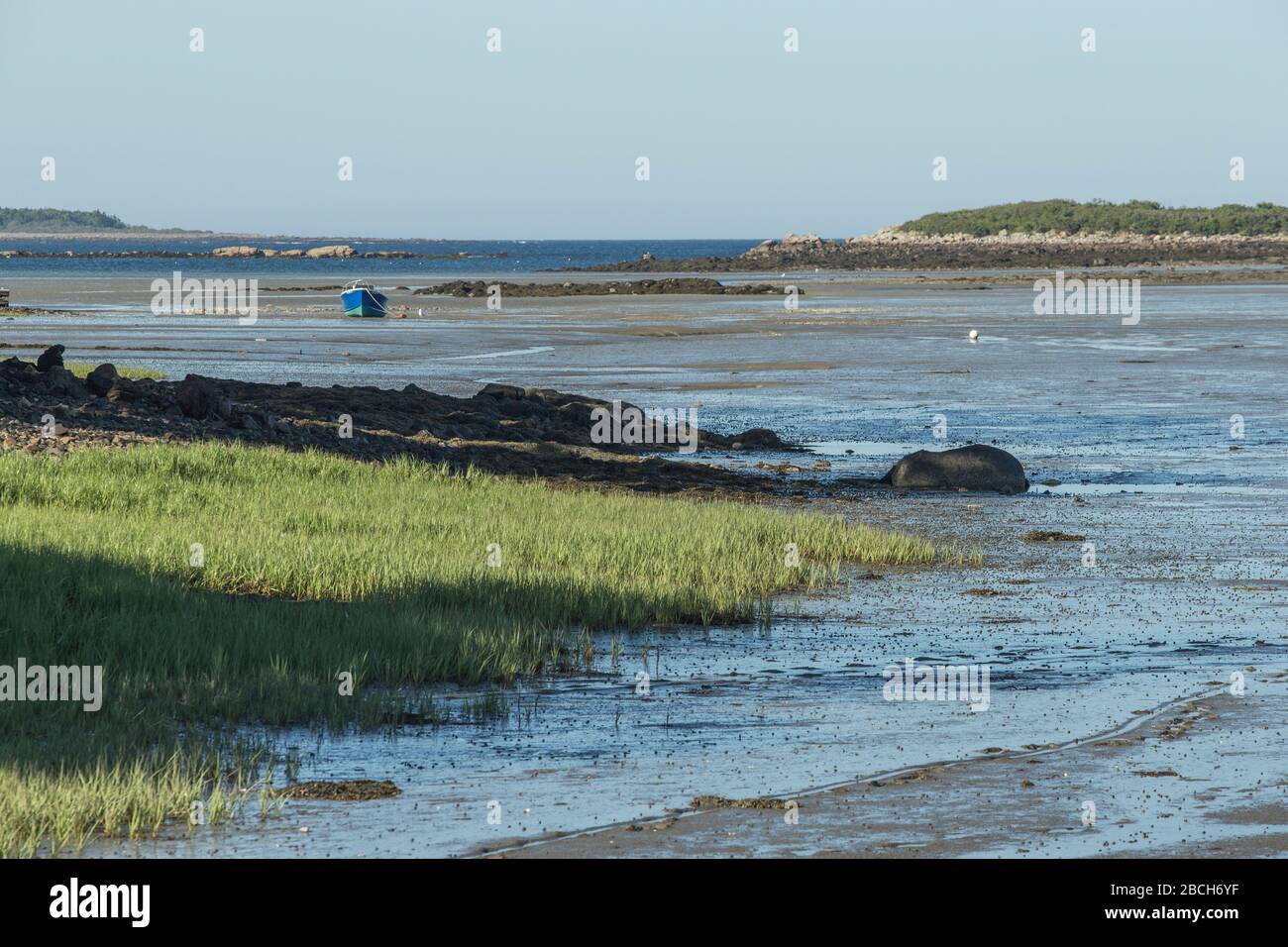 Webbannet Watershed a Wells, Maine. Area favorevole all'habitat che tiene d'occhio la conservazione e l'habitat di questa zona. Grande centro scientifico per al Foto Stock