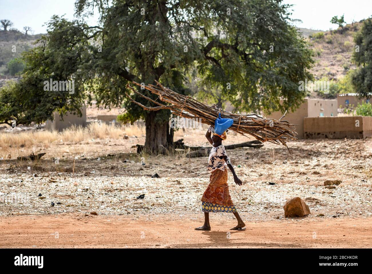 Africa, Burkina Faso, regione di Pô, Tiebele. Una donna sta camminando su una strada sterrata xwith rami impilati sulla sua testa Foto Stock