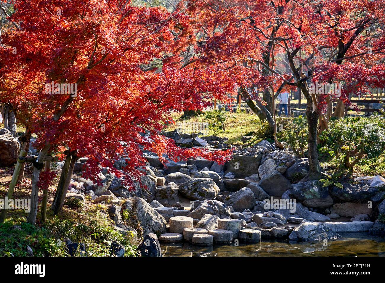 Autunno nel parco con il torrente vuoto Foto Stock