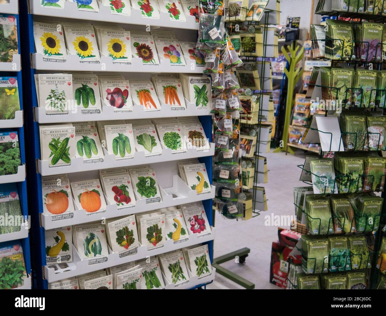 I pacchetti di semi vegetali sono allineati su rack nel negozio di ferramenta. Foto Stock