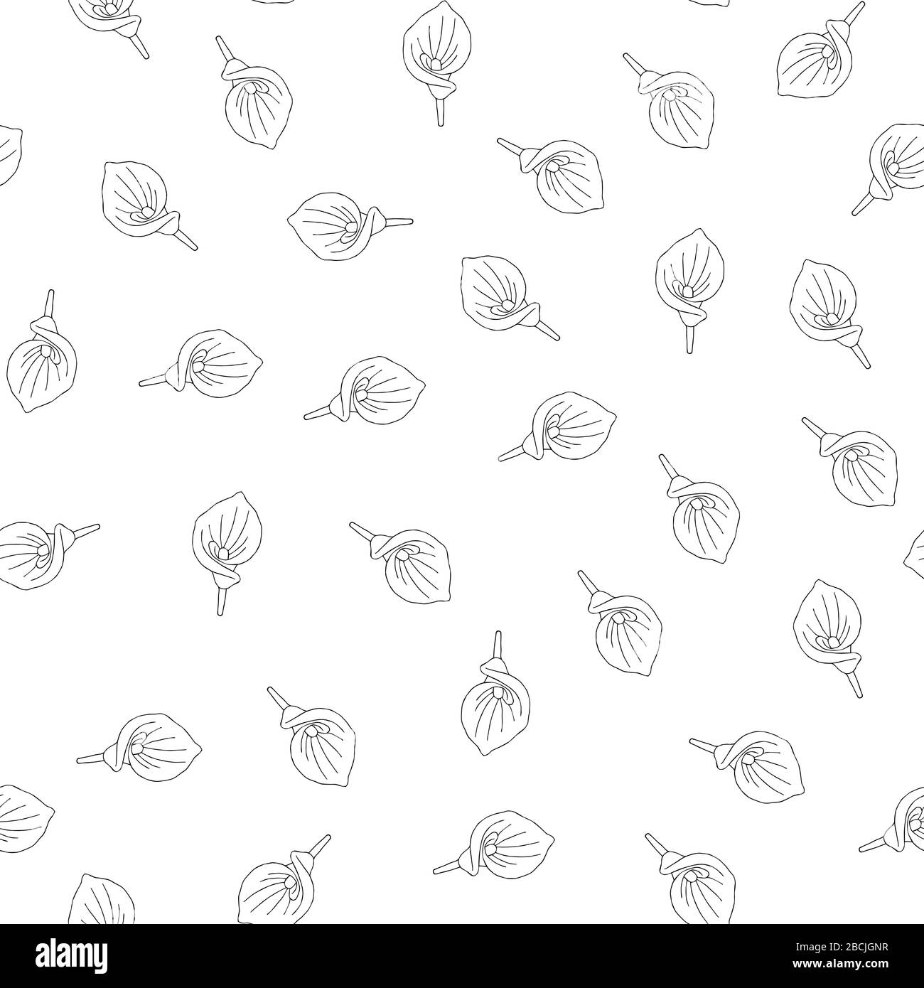 Modello senza cuciture di fiori di doodle. Fiore della giungla disegnato a mano anthurium su uno sfondo bianco. Vettore decorativo esotico elemento tropicale per Illustrazione Vettoriale