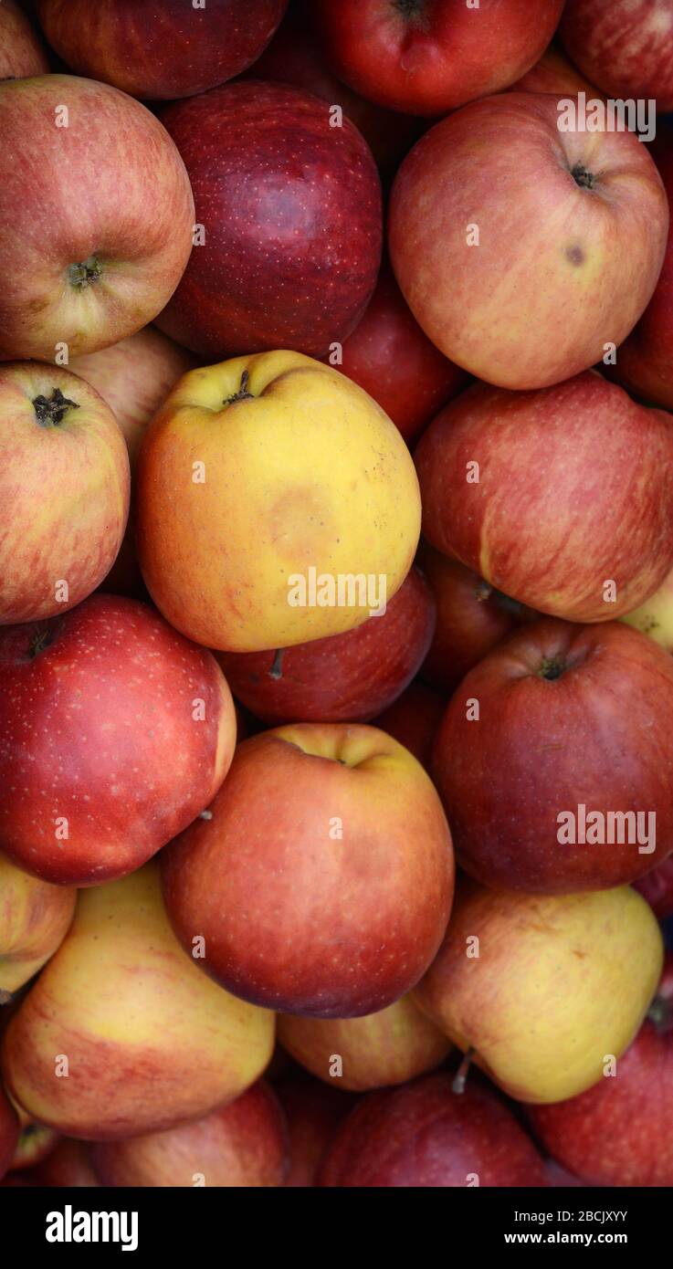 Mele sul mercato. Mele rosse biologiche fresche provenienti dal mercato agricolo locale. Mele sfondo texture condimento Apples in vendita. Foto Stock