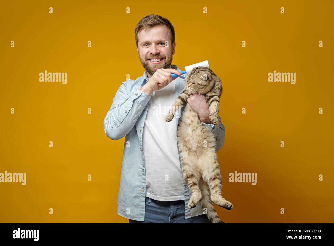 Felice, sorridente uomo abbracca il suo adorabile, bello gatto e scherza scherzosamente con un nastro adesivo rullo. Foto Stock