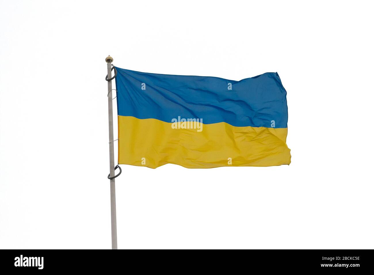 Bandiera Ucraina sul palo della bandiera isolato su uno sfondo bianco Foto Stock