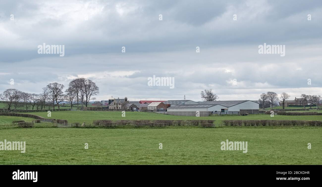 Irvine, Scotland, UK - 04 aprile 2020: Le fattorie di Perceton si affacciano sulle tipiche fattorie di lavoro dell'Ayrshire con una miscela di fattorie tradizionali e moderne Foto Stock