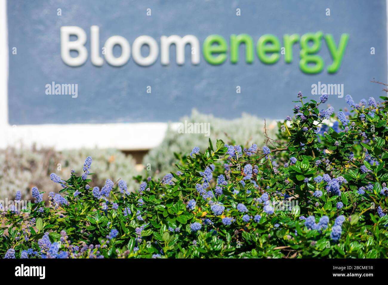 Blurred Bloom Energy segno nel paesaggio fiorente presso la sede centrale di Silicon Valley. Azienda produce e commercializza celle a combustibile ad ossido solido che producono Foto Stock