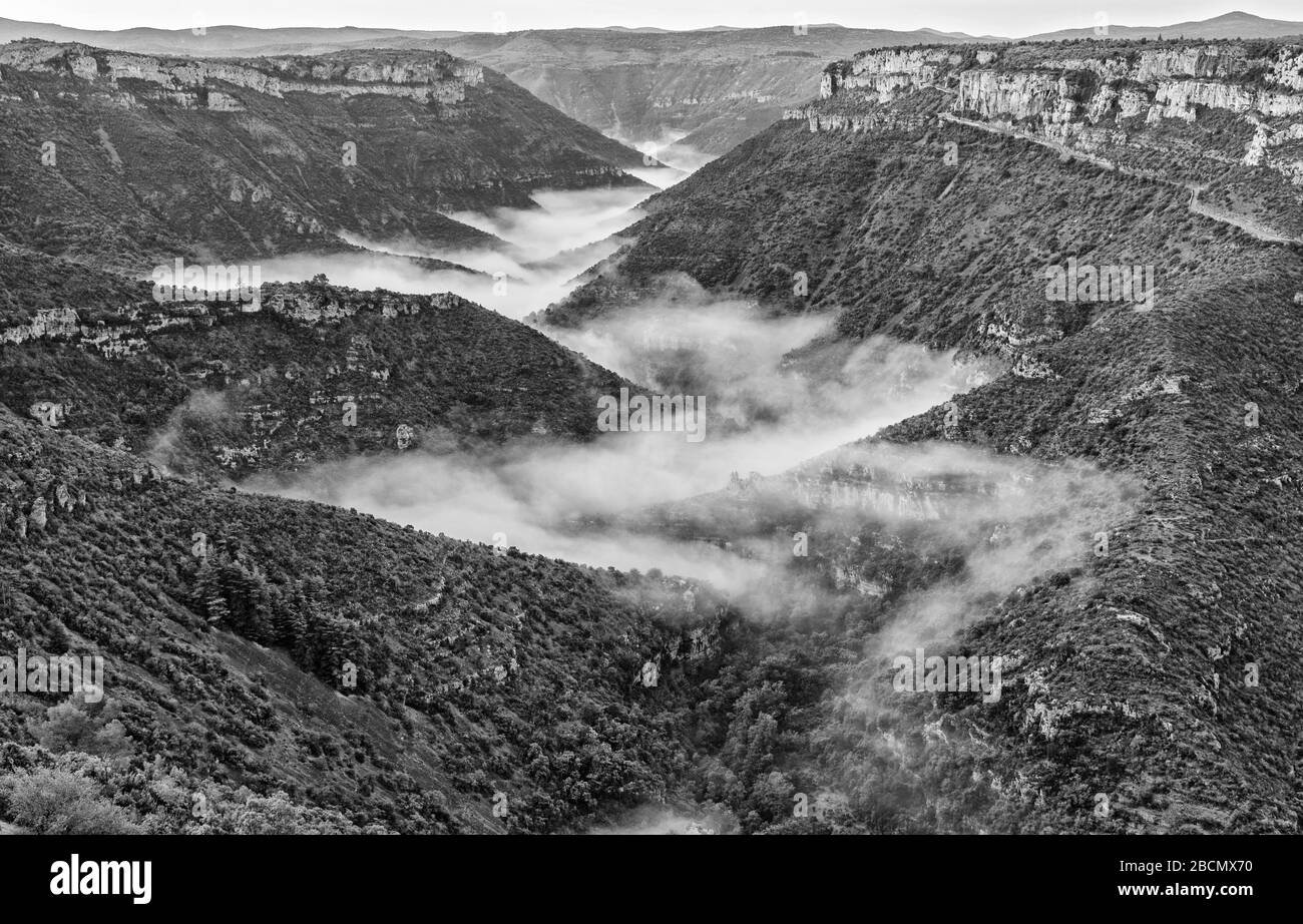 Francia, Gard, Cirque de Navacelles, vista dal Belvedere, nebbia di primo mattino nella gola della valle del fiume Vis, monocromatico Foto Stock