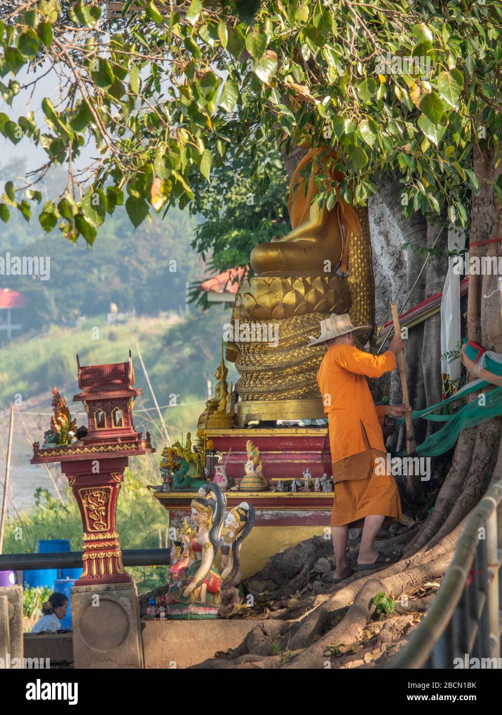 Ogni mattina i monaci vanno all'albero magico di fronte al Grande Buddha Wat vicino alla nostra pensione d'arte. Puliscono il luccicante agli spiriti e al Buddha Foto Stock