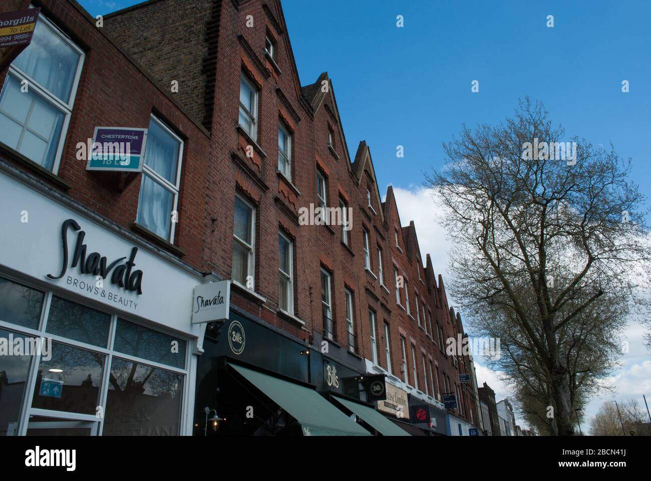 Shavata Brows & Beauty 274 Chiswick High Road, Chiswick, Londra W4 1PD Foto Stock