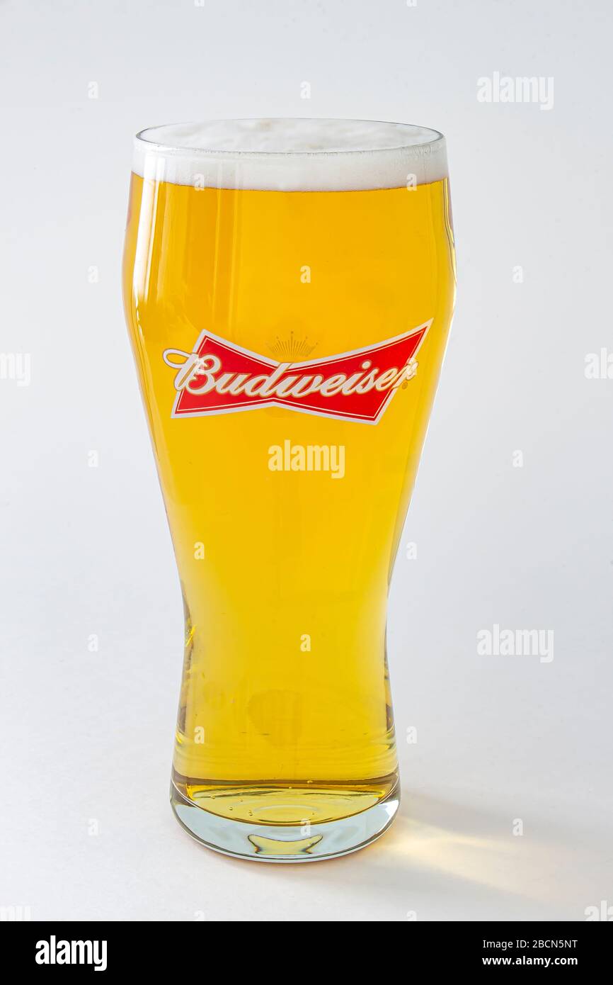Una pinta di birra Budweiser isolata su sfondo bianco Foto Stock