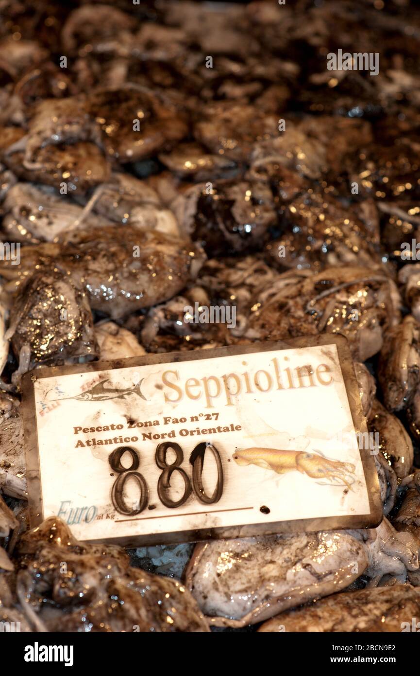 Calamari ricoperti d'inchiostro al mercato del pesce, Ponte di Rialto, Venezia, Italia Foto Stock
