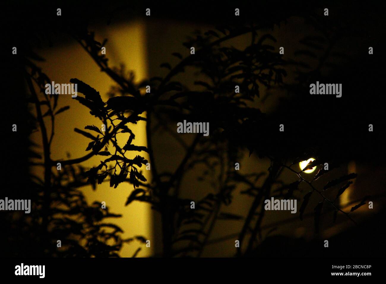 Le tenebre non possono scusare le tenebre: Solo la luce può farlo . Foto Stock