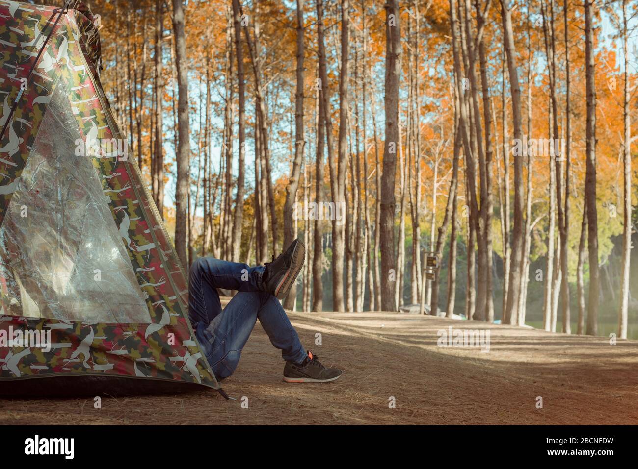 Rilassante campeggio turismo e tenda sotto la vista pineta paesaggio vicino acqua all'aperto al mattino e al tramonto cielo a Pang-ung, parco della pineta, ma Foto Stock