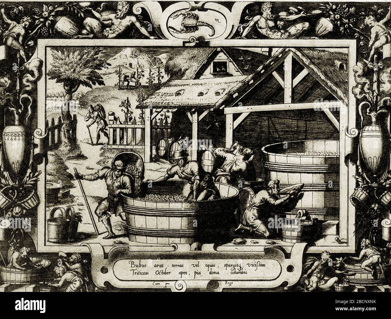 Un'incisione del XVI secolo che mostra i produttori di vino al lavoro. Il segno zodiacale dello Scorpione, indica che le attività si sono svolte nel mese di ottobre Foto Stock