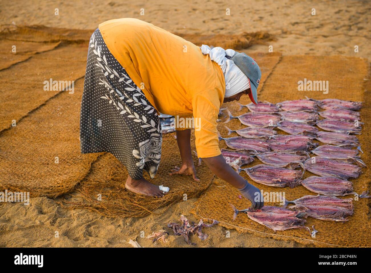 NEGOMBO, SRI LANKA - 03 FEBBRAIO 2020: Una donna depone i pesci sui tappeti per l'asciugatura Foto Stock