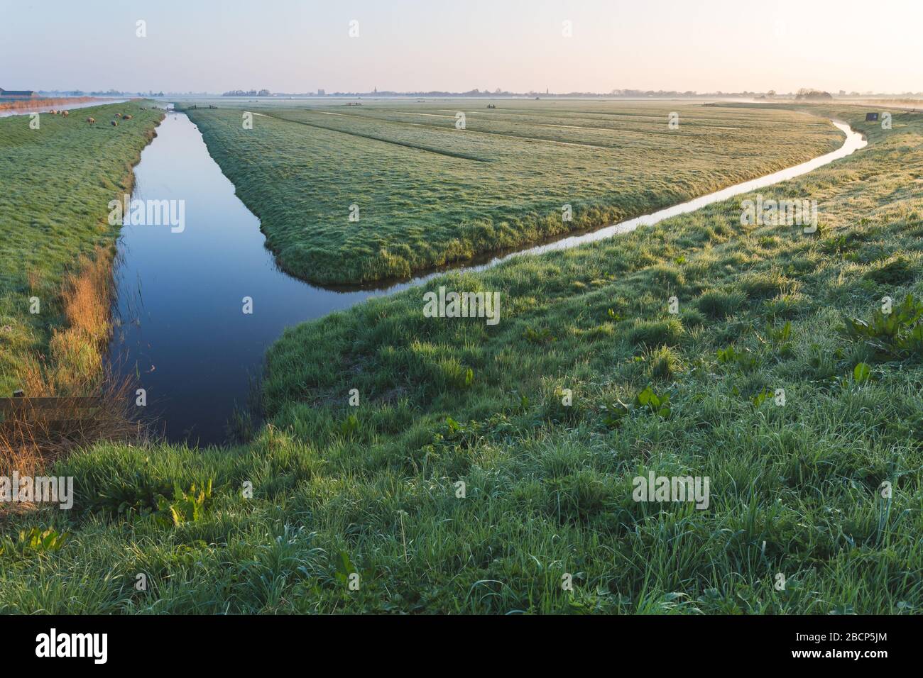Il paesaggio dei polder, Kaagmolen, Paesi Bassi Foto Stock