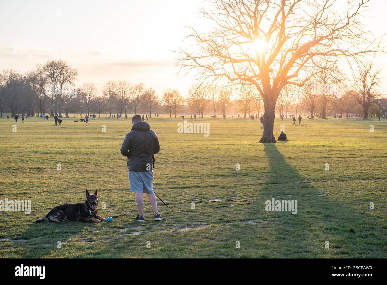 Un uomo sta con il suo cane pastore tedesco su Clapham Common Foto Stock