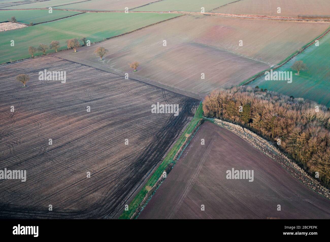 Vista aerea sui campi agricoli panoramici in luce invernale mattutina. Shropshire nel Regno Unito Foto Stock