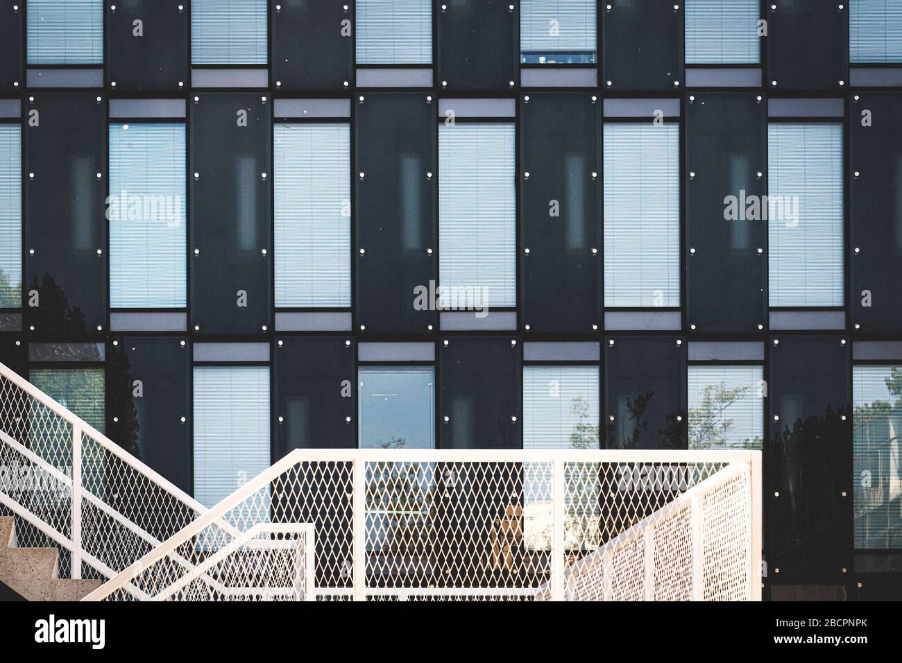 Facciata dell'edificio con motivo grafico Foto Stock