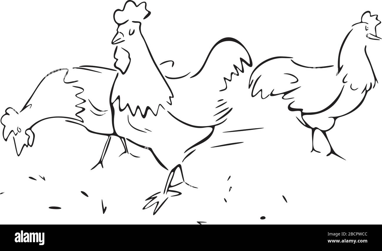 Polli in cantiere Illustrazione Vettoriale