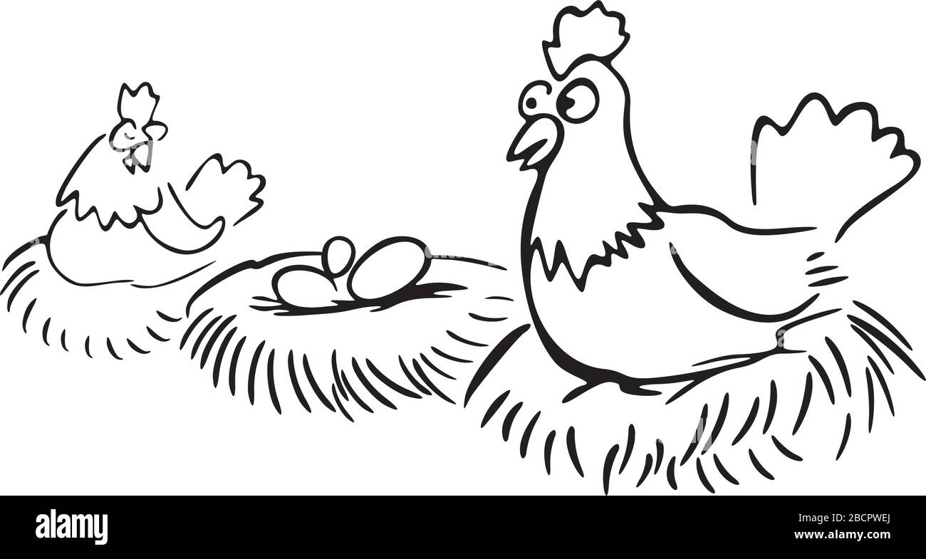 polli che cova uova Illustrazione Vettoriale