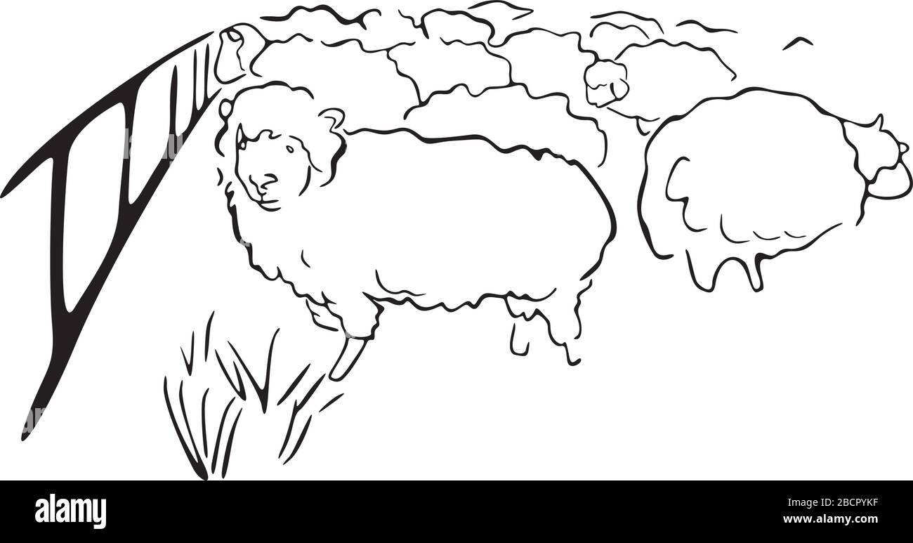 allevamento di pecore Illustrazione Vettoriale
