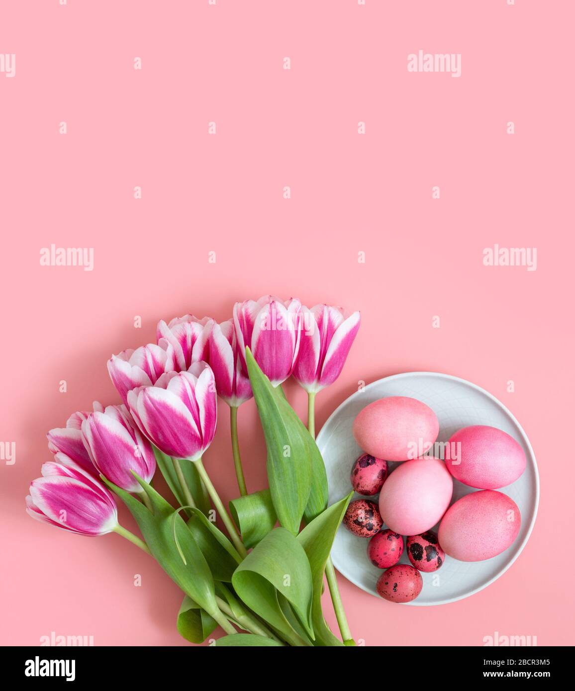 Tavola rosa pasquale con uova e un bouquet di fiori primaverili di  tulipani. Orientamento verticale. Spazio copia, vista dall'alto,  disposizione piatta Foto stock - Alamy
