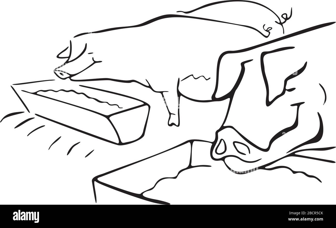 mangiare maiali nel granaio Illustrazione Vettoriale