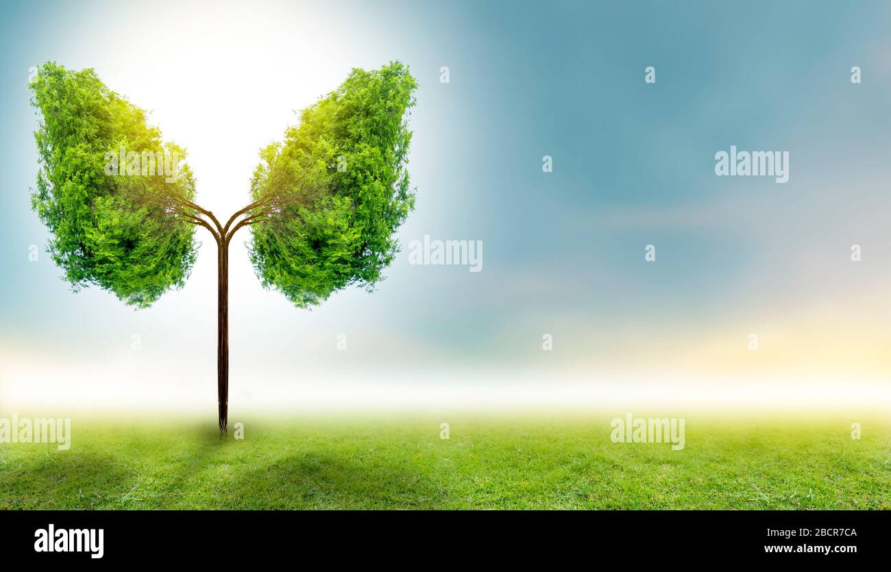 Illustrazione dell'albero polmonare (ambiente e medicina) Foto Stock