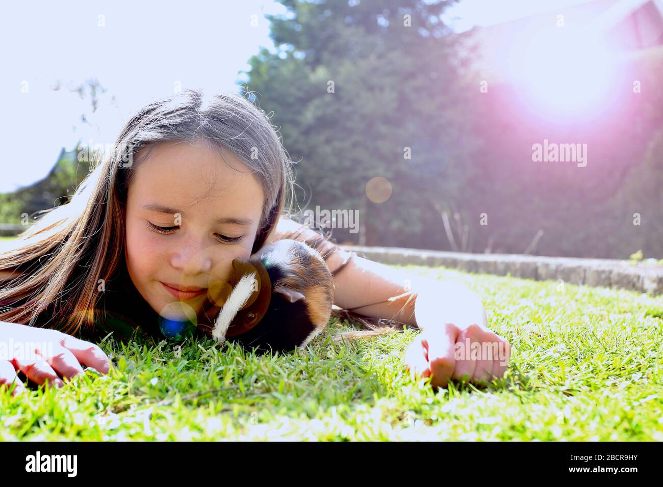 Wales, 10 anni Erin Williams e la sua Guinea Pig Dec giocando al sole, 5 aprile 2020©PRWPhotography Foto Stock