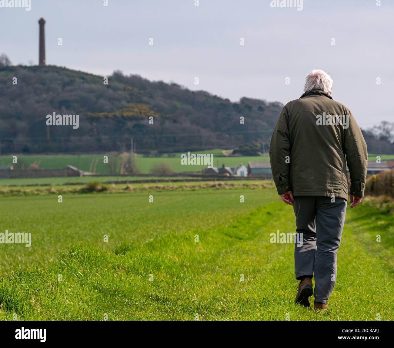 Lothian orientale, Scozia, Regno Unito. 5 Aprile 2020. Tempo in Gran Bretagna: L'est del paese finalmente sente il calore del sole di primavera come coloro che vivono nella zona rurale prendono il loro esercizio quotidiano. Un uomo anziano racconta una passeggiata lungo i bordi del campo Foto Stock