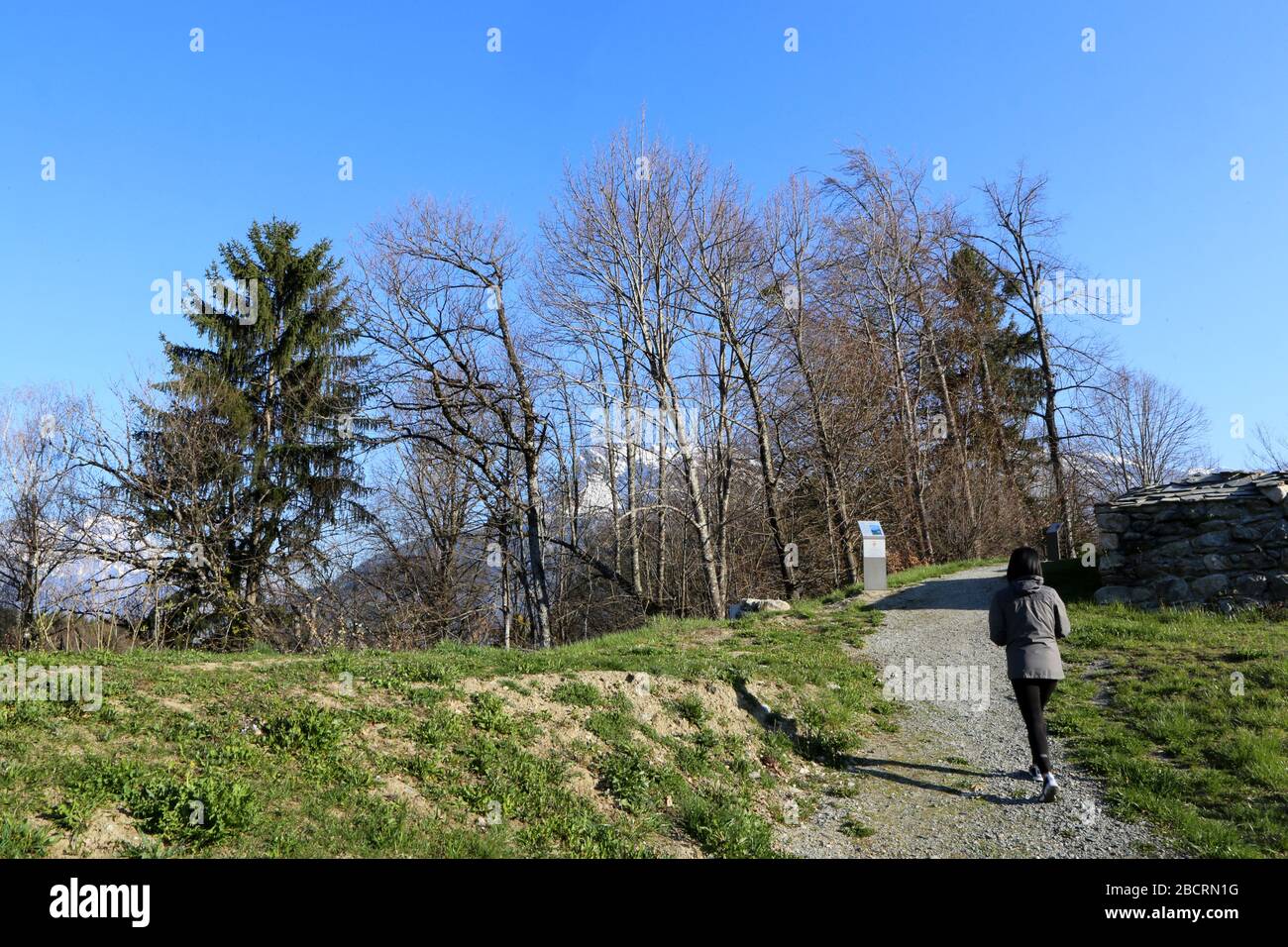 Randonneuse sur une chemin menant en Forêt. Saint-Gervais-les-Bains. Alta Savoia. Francia. Foto Stock