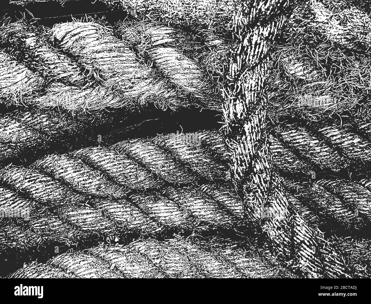 Distress grunge trama vettoriale di corda di vimini. Sfondo bianco e nero. Illustrazione EPS 8 Illustrazione Vettoriale