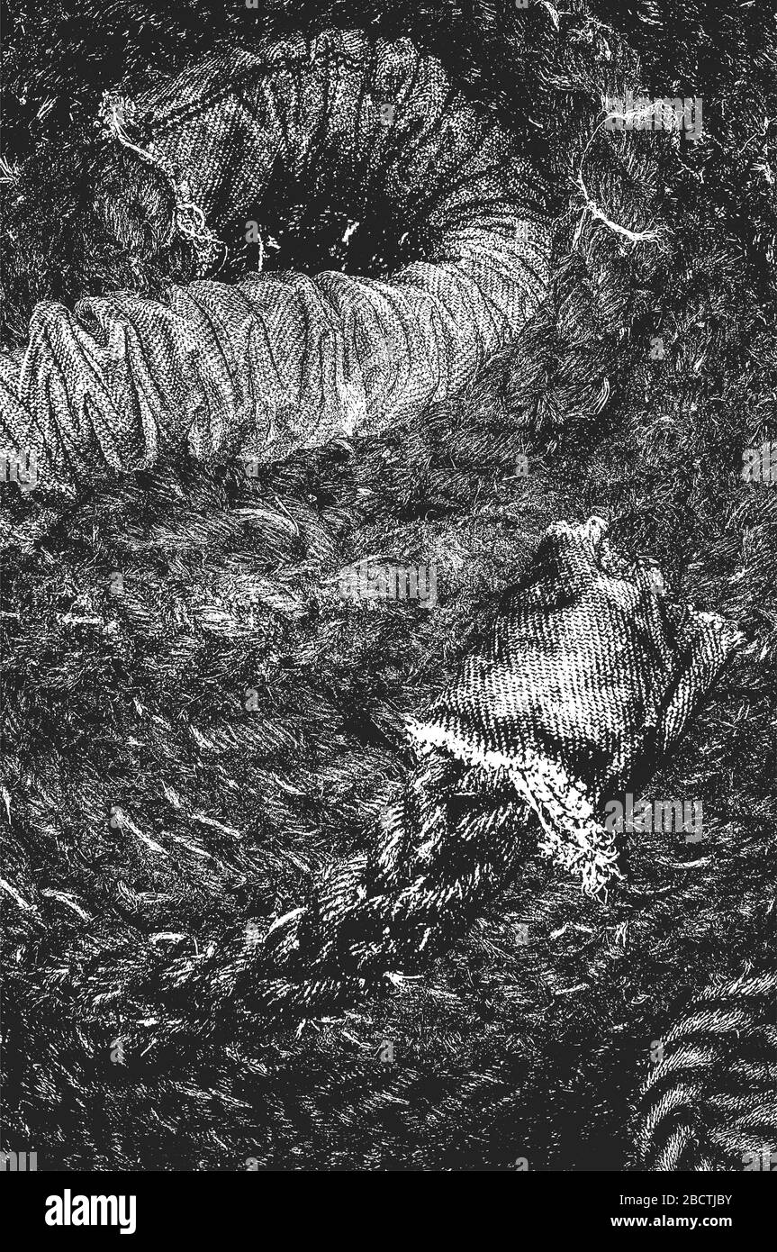 Distress grunge trama vettoriale di corda di vimini. Sfondo bianco e nero. Illustrazione EPS 8 Illustrazione Vettoriale