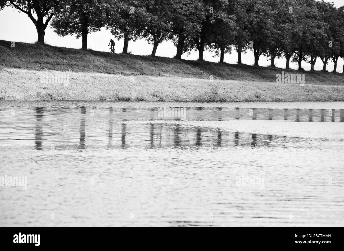 Silhouette di ciclista vicino al fiume in vicolo di albero Foto Stock