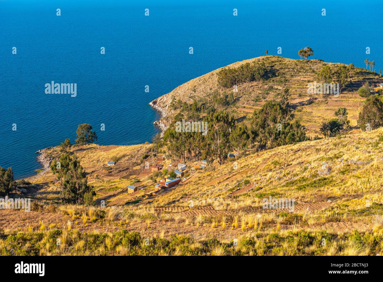 Campagna rurale sulla penisola Copacabana ad un'altitudine di circa 4.000 m, Dipartimento la Paz, Bolivia, America Latina Foto Stock