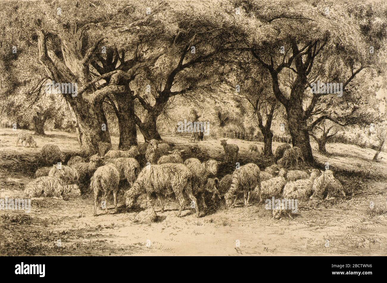 Un frutteto del New England. Foto Stock Un frutteto del New England. Foto Stock