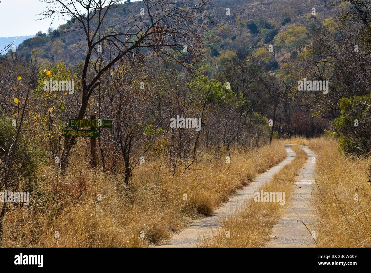 Explorer Bush Trail segno al Cement Road Crossing Foto Stock Explorer Bush Trail segno al Cement Road Crossing Foto Stock