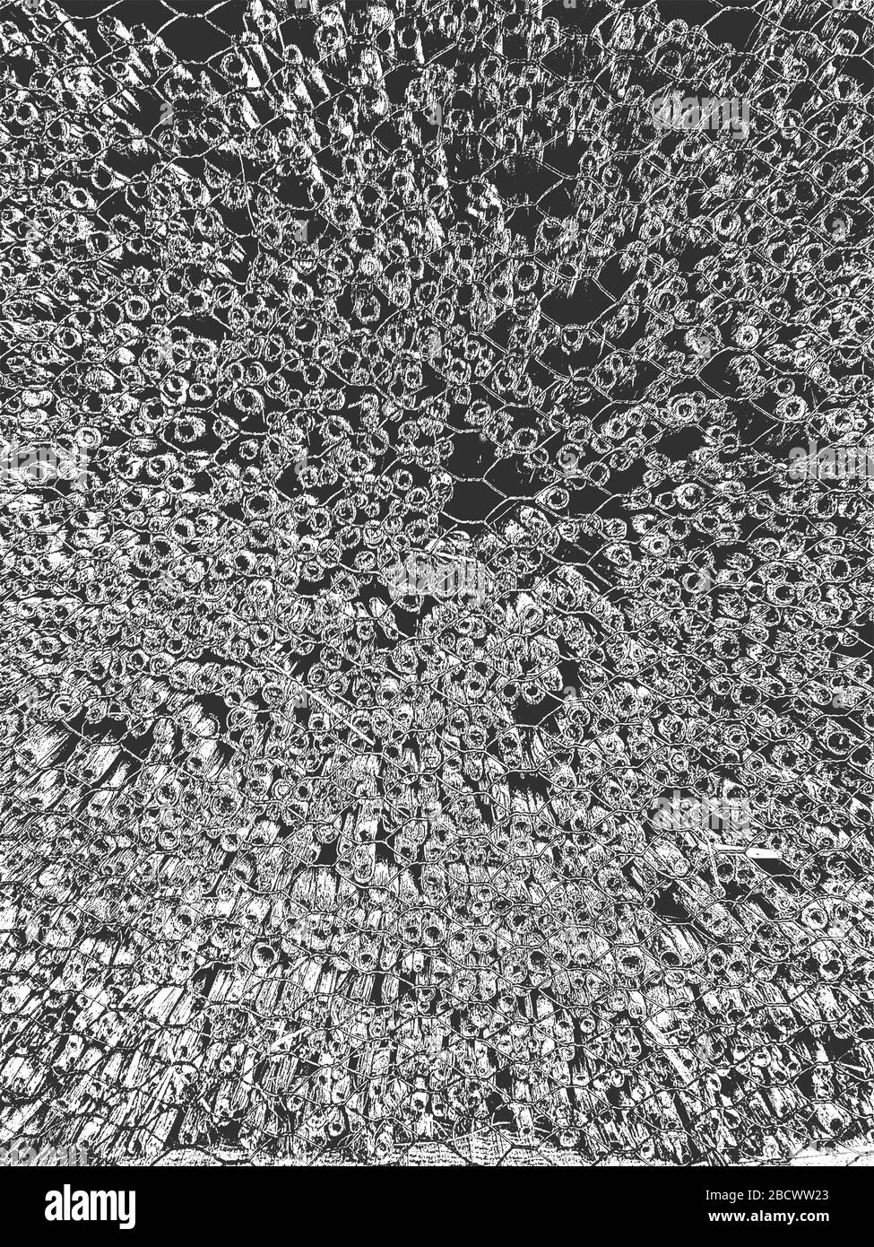 Distress vecchia tessitura asciutta di legno. Sfondo nero e bianco grunge. Illustrazione del vettore. Illustrazione Vettoriale