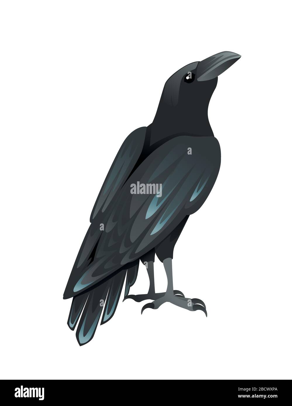 Nero uccello corvo cartone animato crow disegno piatto vettore animale illustrazione isolato su sfondo bianco Illustrazione Vettoriale