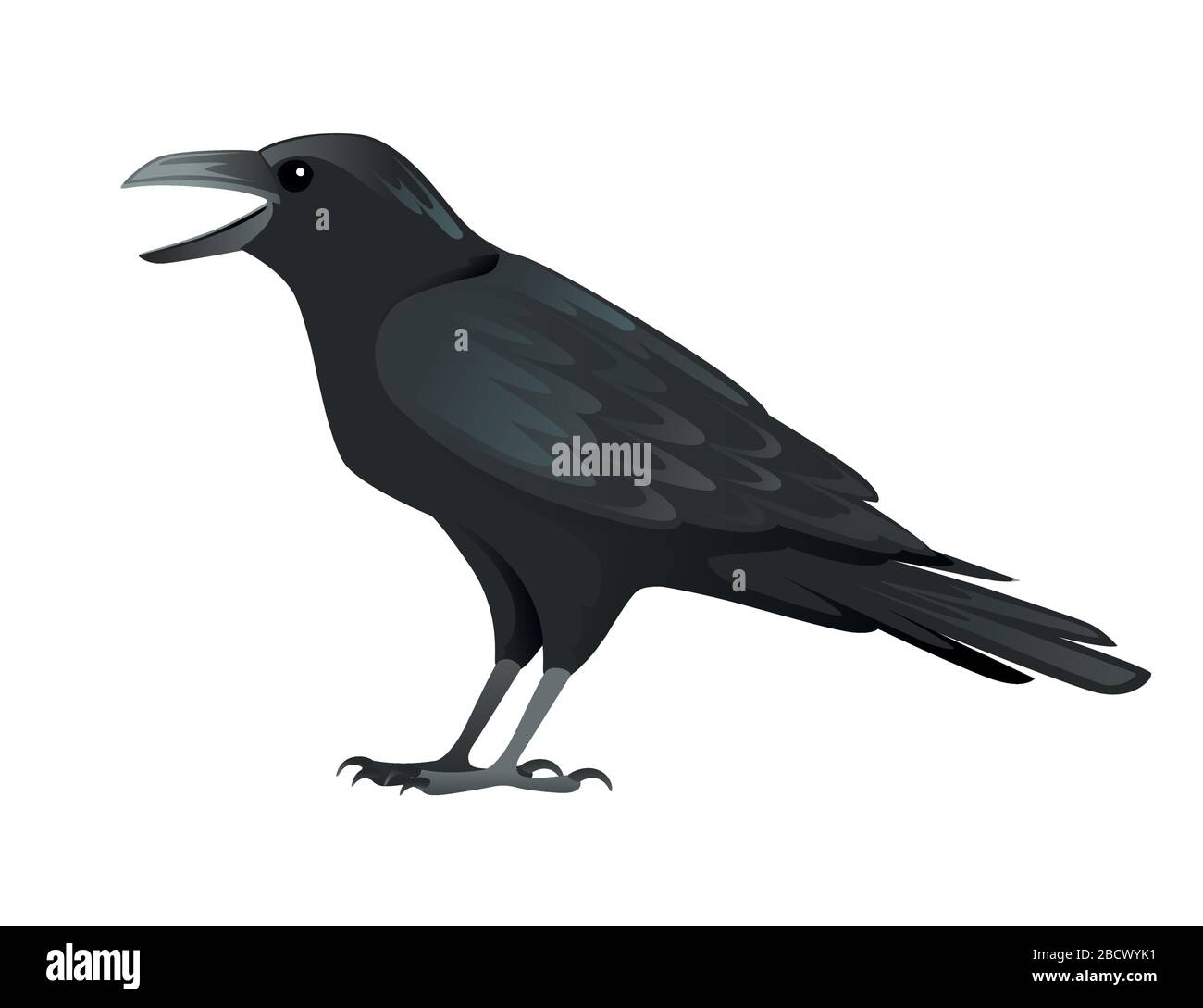 Nero uccello corvo cartone animato crow disegno piatto vettore animale illustrazione isolato su sfondo bianco Illustrazione Vettoriale