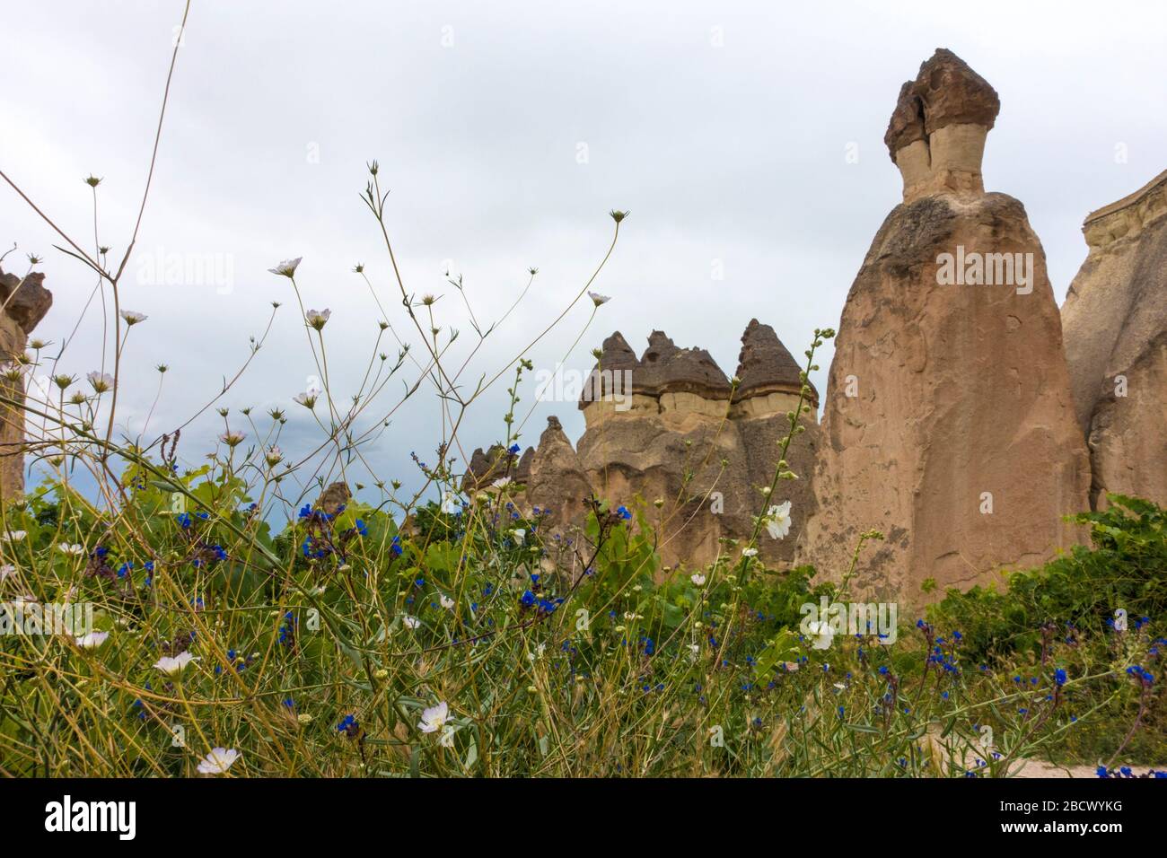 Cappadocia Fairy Chimneys, Turchia Foto Stock