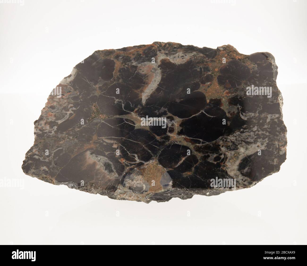 Aporhyolite. 14 Mar 20191 Aporhyolite Foto Stock