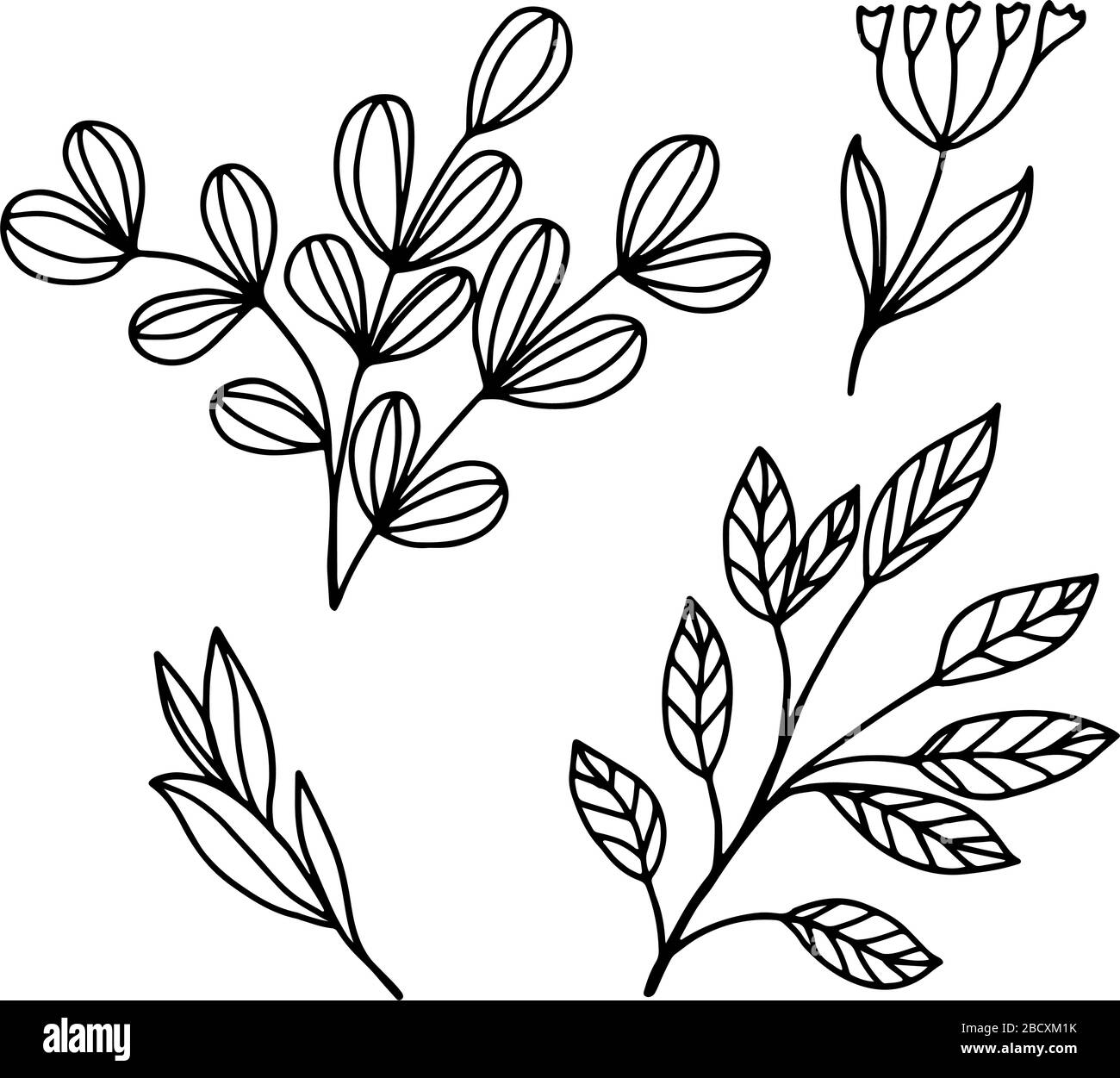 Immagini vettoriali su sfondo bianco in stile lineare, foglie e fiori per la decorazione di copertine, libri da colorare, illustrazioni botaniche Illustrazione Vettoriale