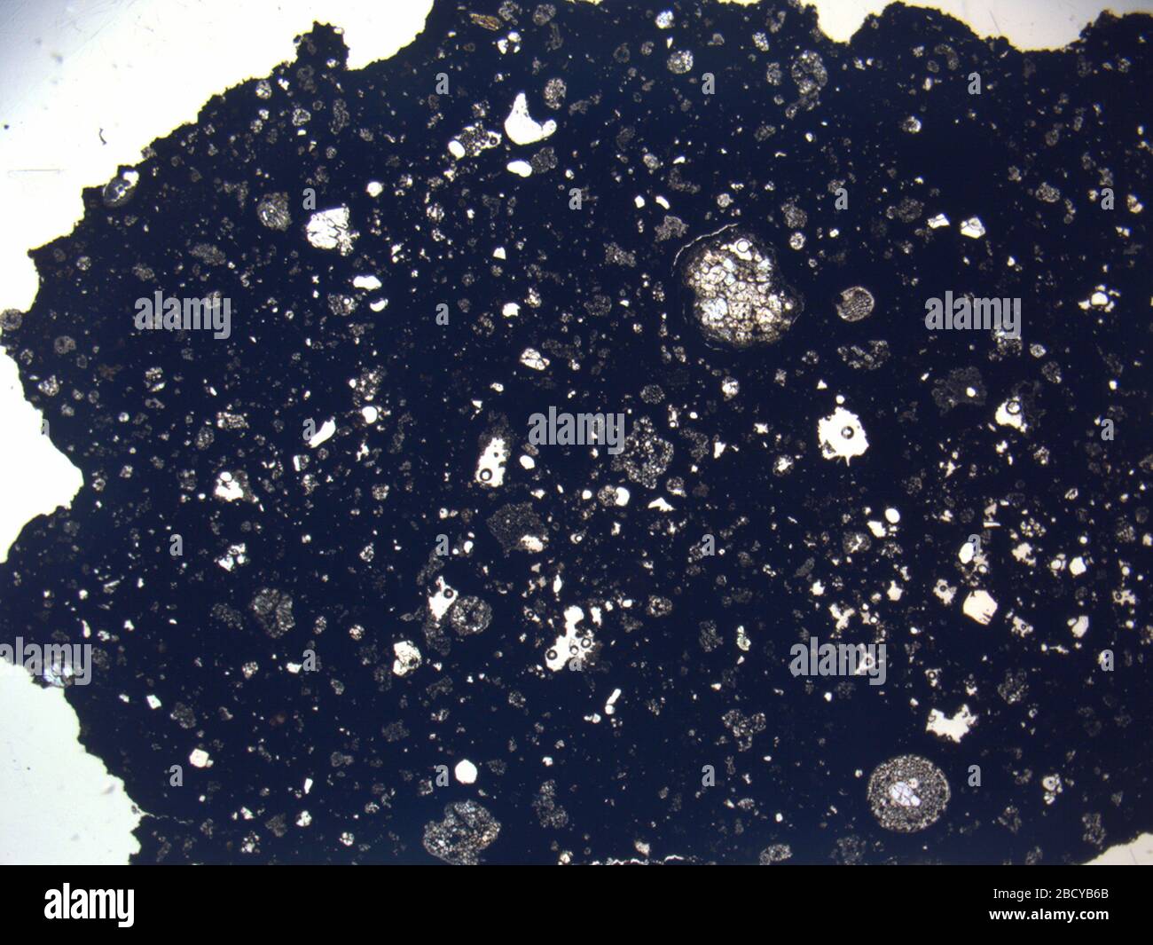 Micrografia del meteorite LAP 02239,2 sotto luce polarizzata in piano con ingrandimento 1,25x. GIRO 022392 Foto Stock