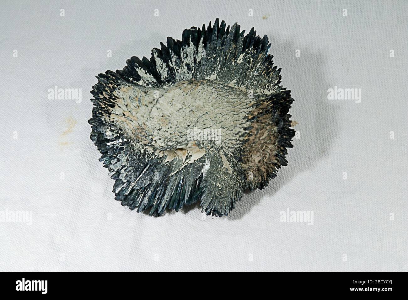 Vivianite. 20 Nov 201947472081 Vivianite Foto Stock