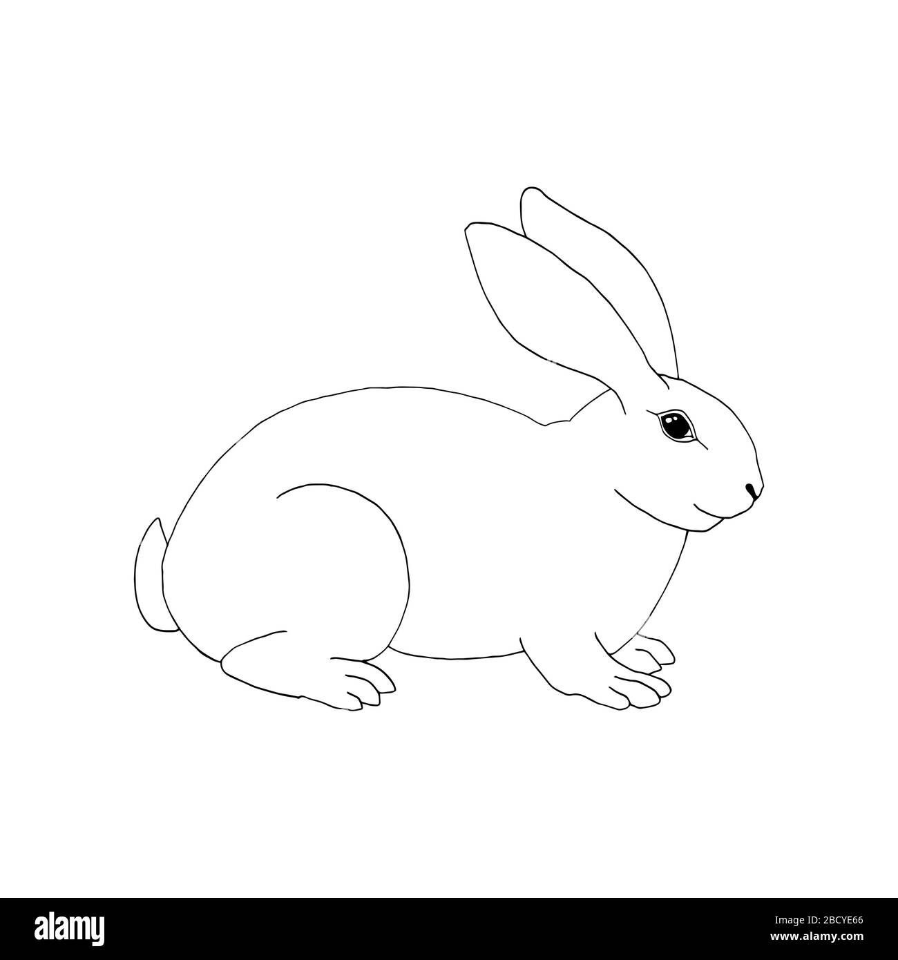 Illustrazione vettoriale del coniglio di disegno a mano. Simbolo di Pasqua. Coniglietto bianco e nero Illustrazione Vettoriale