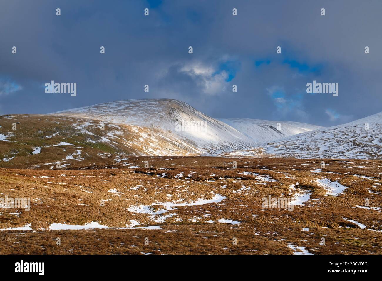 Colline coperte di neve alla luce del sole del pomeriggio sopra i linnfoot di talla. Confini scozzesi. Scozia Foto Stock