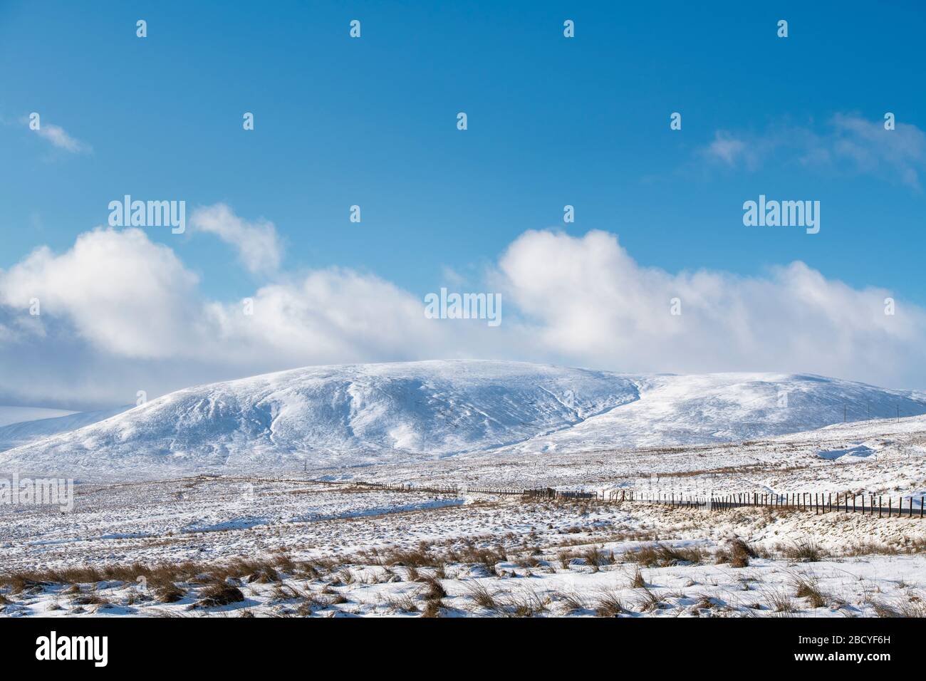 South Lanarkshire colline coperte di neve. Confini scozzesi. Scozia Foto Stock